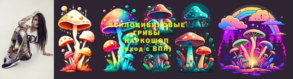твердый Алзамай
