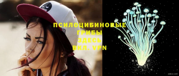 твердый Алзамай