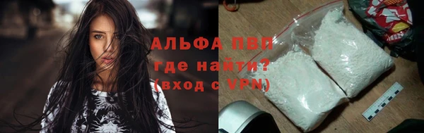 гидра Алексин