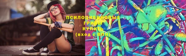 твердый Алзамай
