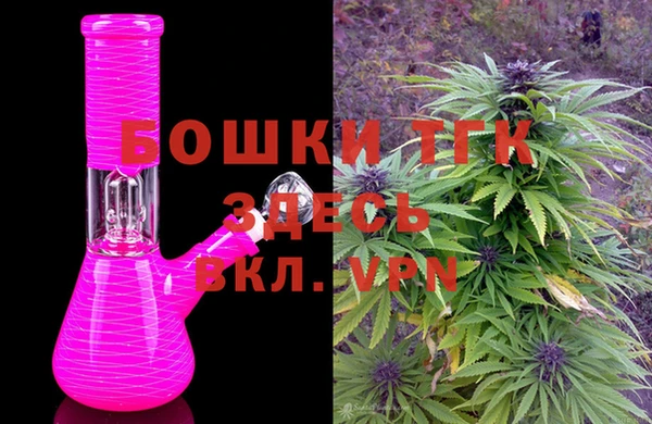 гидра Алексин