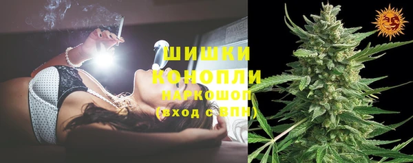 твердый Алзамай