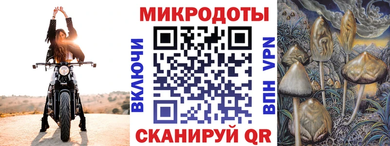 Псилоцибиновые грибы мухоморы  mega рабочий сайт  Гдов 