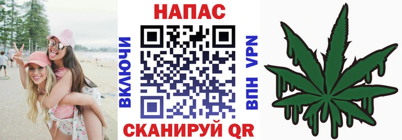 Бошки марихуана ГИДРОПОН  даркнет сайт  Гдов 